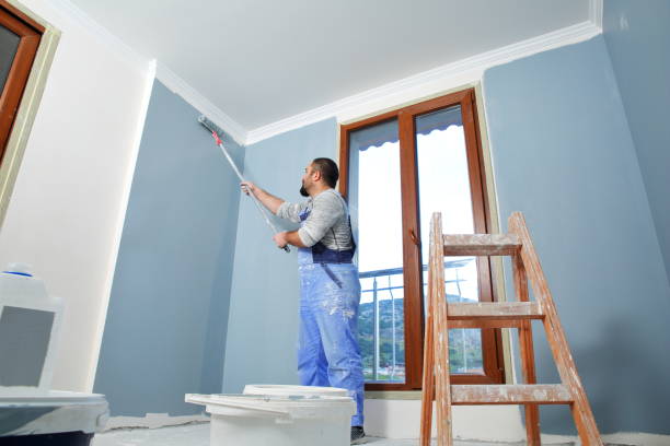 Best Touch-Up Painting  in Mansfield, MO